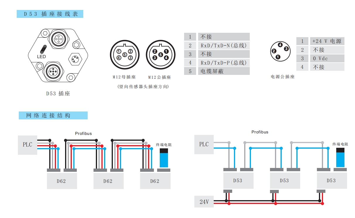 D53 socket wiring table and network connection structure